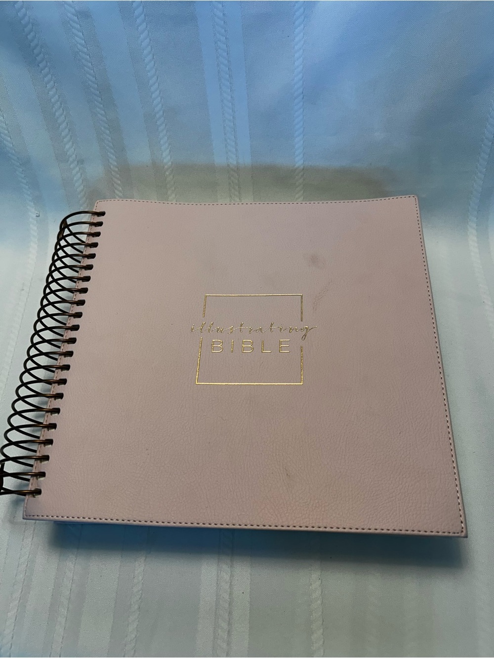 Illustrating NIV Bible Spiral Bound Journal Blush Pink Gold Religious Book